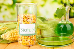 Noonvares biofuel availability